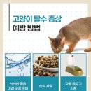 왜관동물병원 이미지