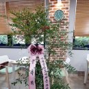 사북공공도서관 이미지