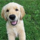 24시 나음동물 의료센터 이미지