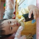 이현꼬마김밥 이미지