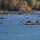 위례사랑길 이미지