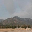 학봉초등학교 이미지