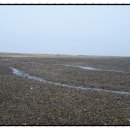 쉬리모텔 이미지