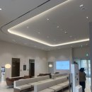 동탄센터약국 | 난임일기#6 동탄마리아 신선1차 난자채취 후기, 난자 채취 갯수는??