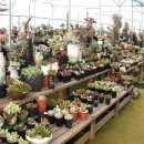 오현농장 이미지