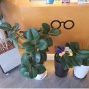 아이핏안경 이미지