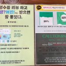 서비스투마인드