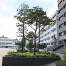 세화고등학교 이미지