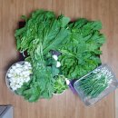 주신농장 이미지