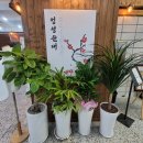 구영로L 이미지