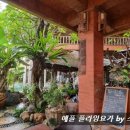 숲플라잉요가