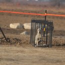 달성축산동물병원 이미지