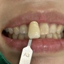 즐거운제주치과의원 이미지