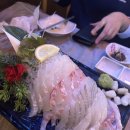 포차포차 이미지