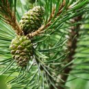 오체한의원 이미지