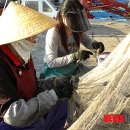 주)손질 이미지