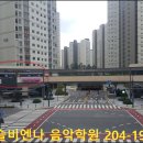 영통비엔나음악학원 이미지