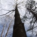 뜰이야기2 이미지