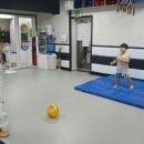 국가대표 신화 태권도장 이미지