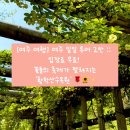 연수꽃식물원 | [여주 여행] 여주 일일 투어 2탄 :: 입장료 무료! 꽃들의 축제가 펼쳐지는 '황학산수목원' 🌹🌻✨