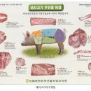 산본꽃돼지 이미지