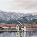 쏘가리상 이미지