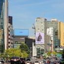 도산대로 이미지