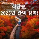 길벗돼지국밥 | 2025 화담숲 완벽 가이드: 예약, 입장료, 모노레일, 주차, 코스, 맛집까지 한 번에! 🍁