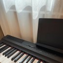 포레스트음악학원 이미지