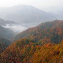 신흥목장2 Daum카페