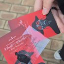 당신이연출한머리코스메틱 | amazarashi 2026 Asia Tour <生活の果てに音楽が鳴る> 후기