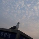 일산주엽직업소개소