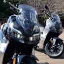 Win모터스 이미지