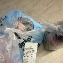 도미노피자 다산진건점 | 집에서 즐긴 도미노피자 베스트콰트로 피자 다산진건점 배달후기 | 네 가지 맛 솔직 리뷰