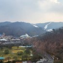 비바플렉스