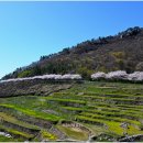 가천다랭이마을 이미지