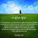 하나님의교회 안상홍님 ◀▶ 인류가 찾아야 할 다윗의 뿌리 이미지