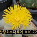 마옥농장 이미지