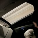 4376 | 2박 3일 강릉여행, 강아지동반 가족여행 다녀왔어요