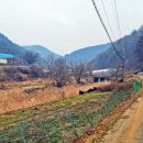 마동2리 이미지