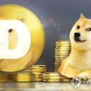 새롬트레이딩 이미지