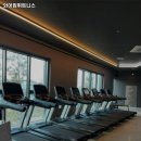 와이짐휘트니스 이미지