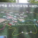 유치자연휴양림 수인관 네이버블로그