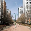 매화공원 광장 이미지