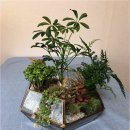 꽃과 식물로 정원가꾸기 이미지