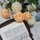 그림책 소품 공방 이미지