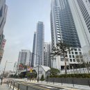 현대고등학교 | [공지] 2026 수능시험후기 / 수능시험장풍경 / 수능시험장 임장기 / 삼성동르엘임장기