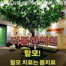 조개사냥 이미지