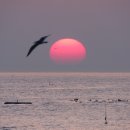 장호비치펜션 이미지