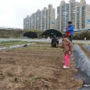 수기농장 이미지